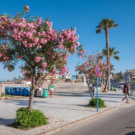 Casa Nueva Familia - * Torrevieja