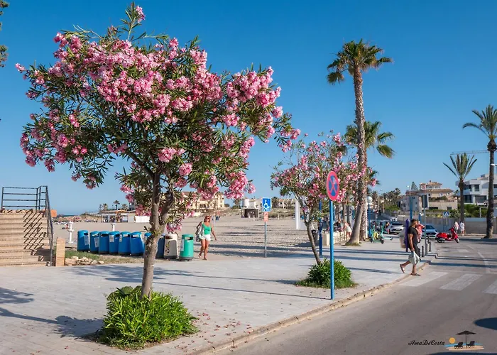 Casa Nueva Familia - * Torrevieja